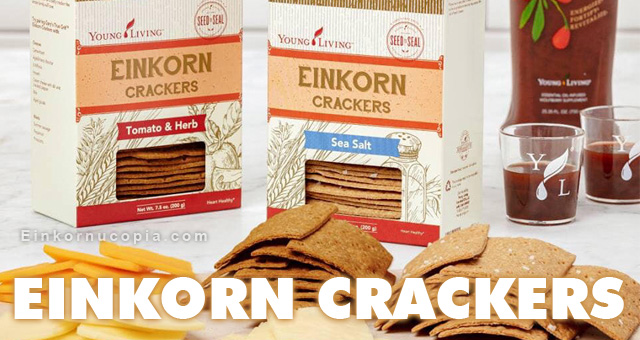 Young Living Einkorn Crackers: Sea Salt