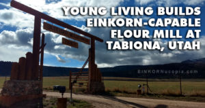 Einkorn Flour Mill in Tabiona, Utah