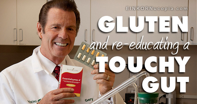 Gluten and the Gut