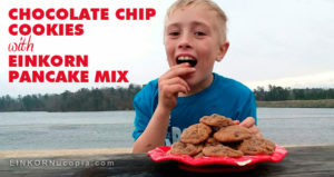 Recipe: Chocolate Chip Cookies with Einkorn Pancake Mix